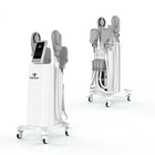 Portable Electromagnetic EMS EMShape Body Slimming Machine Fat Removal Build Muscle